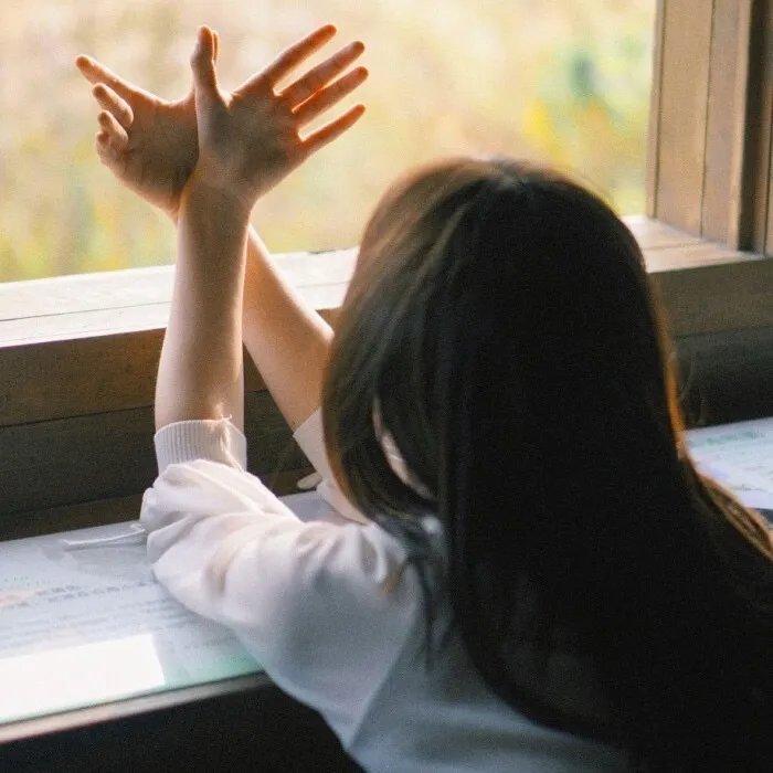 刺猬索尼克(原声版)